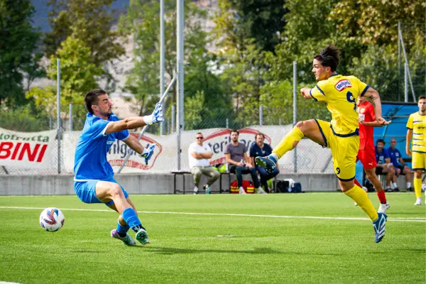 Starz Striker Workshop